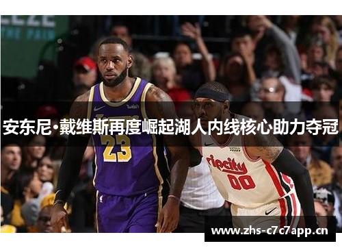 安东尼·戴维斯再度崛起湖人内线核心助力夺冠